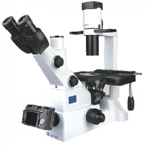What is the most commonly used Microscope and why? Kalstein